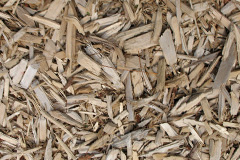 biomass boilers Copton